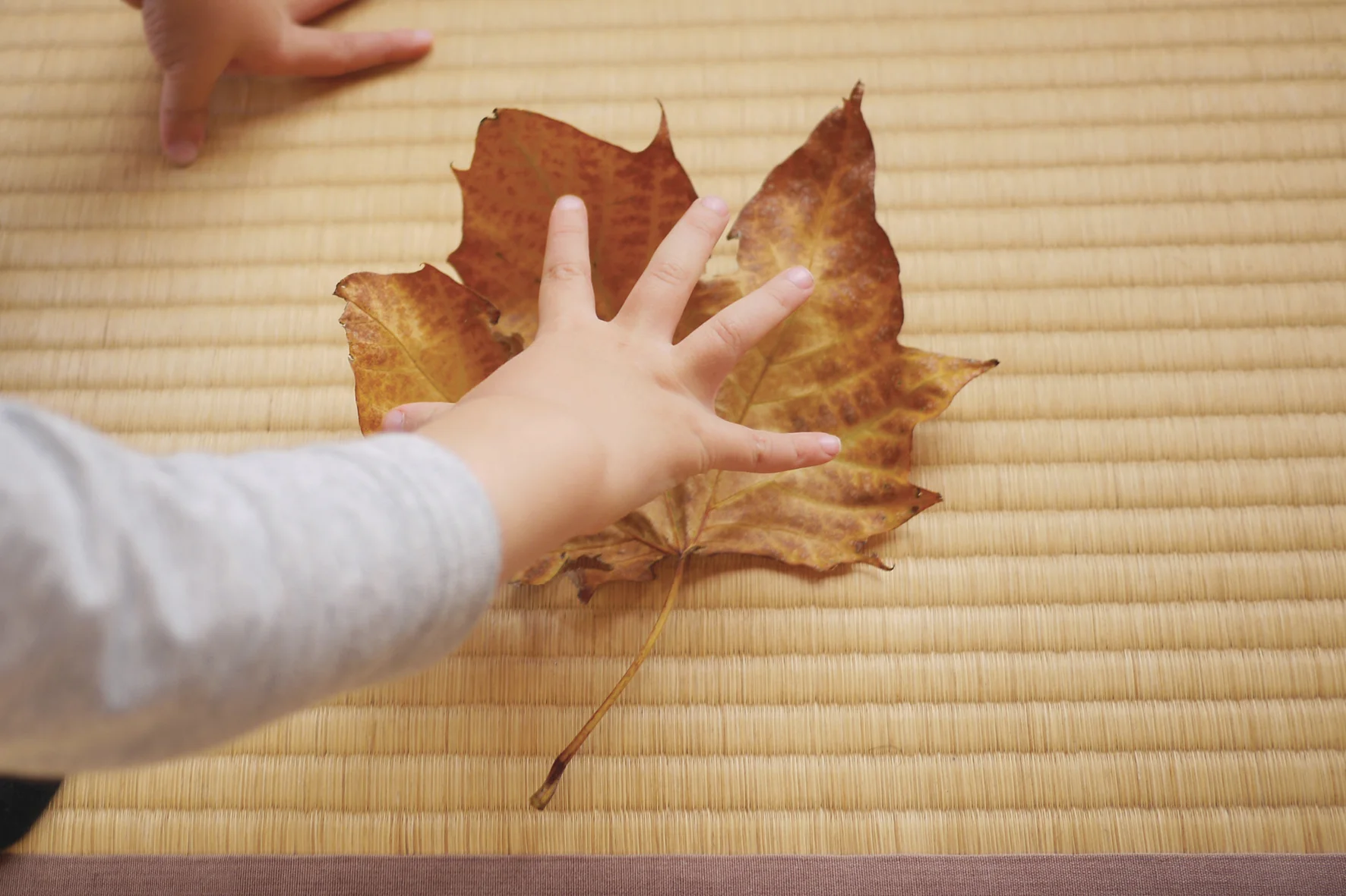nihongopost_hand.jpg