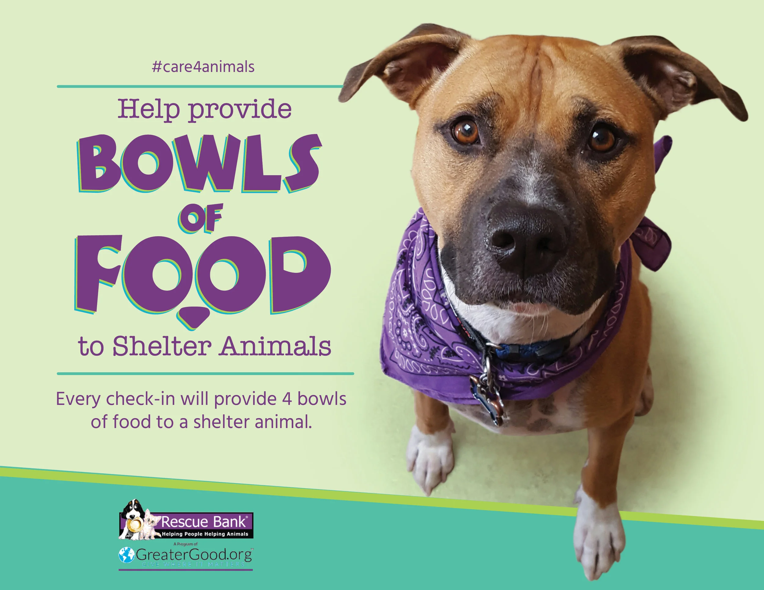 This September, IG location tag, check-in or review on Facebook, Steamtown Yoga will help provide 4 bowls of food to a shelter animal. We’re working with Causely and the Rescue Bank to make it happen. You can add #care4animals when you check in to promote the cause. For more information about this month’s charity, check out www.rescuebank.org