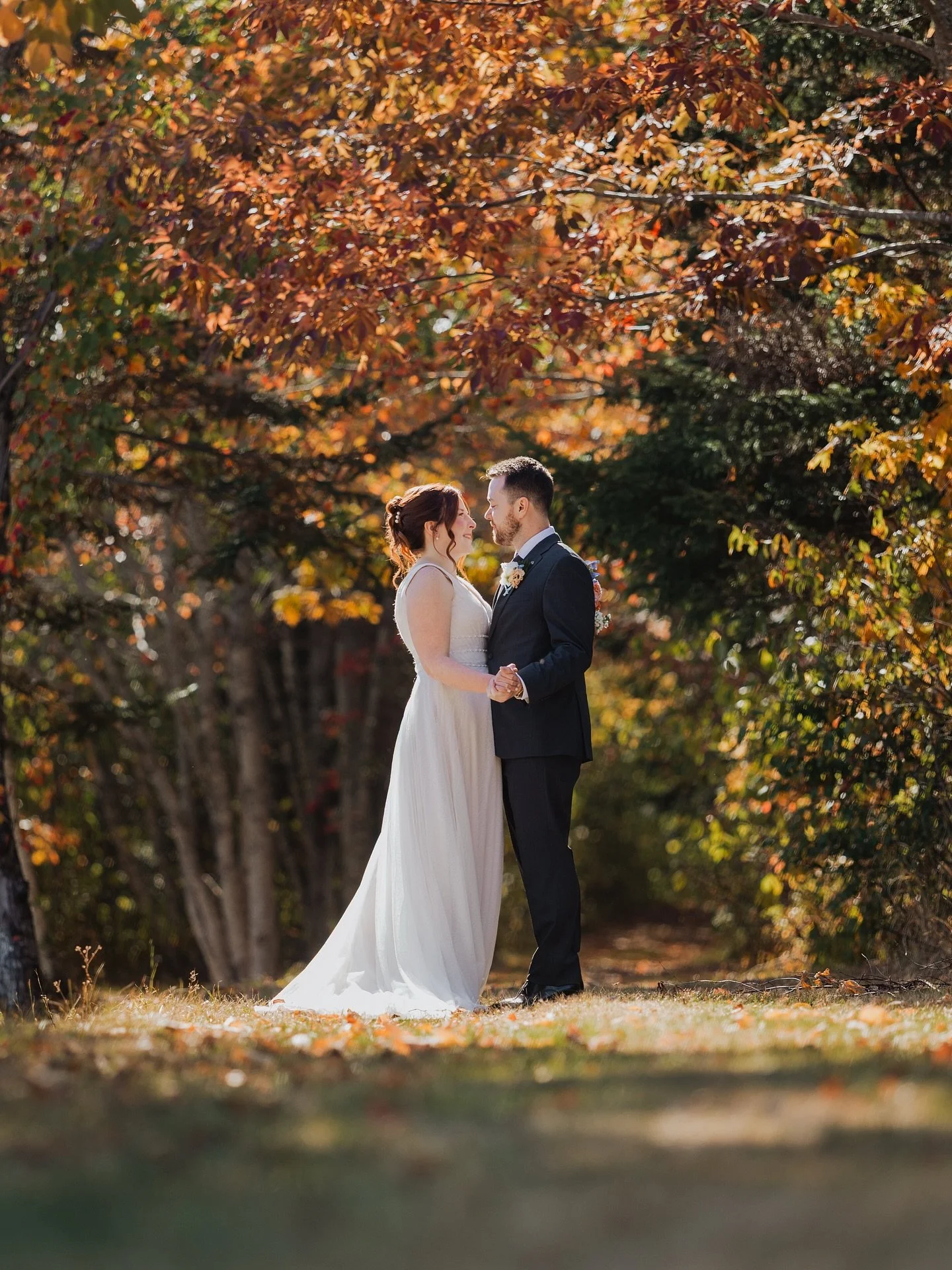 Katie &amp; Brad, soaking in these magical little moments at Healy Farms last weekend.
.
Team:
.
Venue: @healyfarms
Photographers: @dave_and_pring
Florals: @twobirdsonestonefarm
Dress: @reveriebridal.hrm
Suit: @duggersmenswear
Hair: @styles.by.sophia