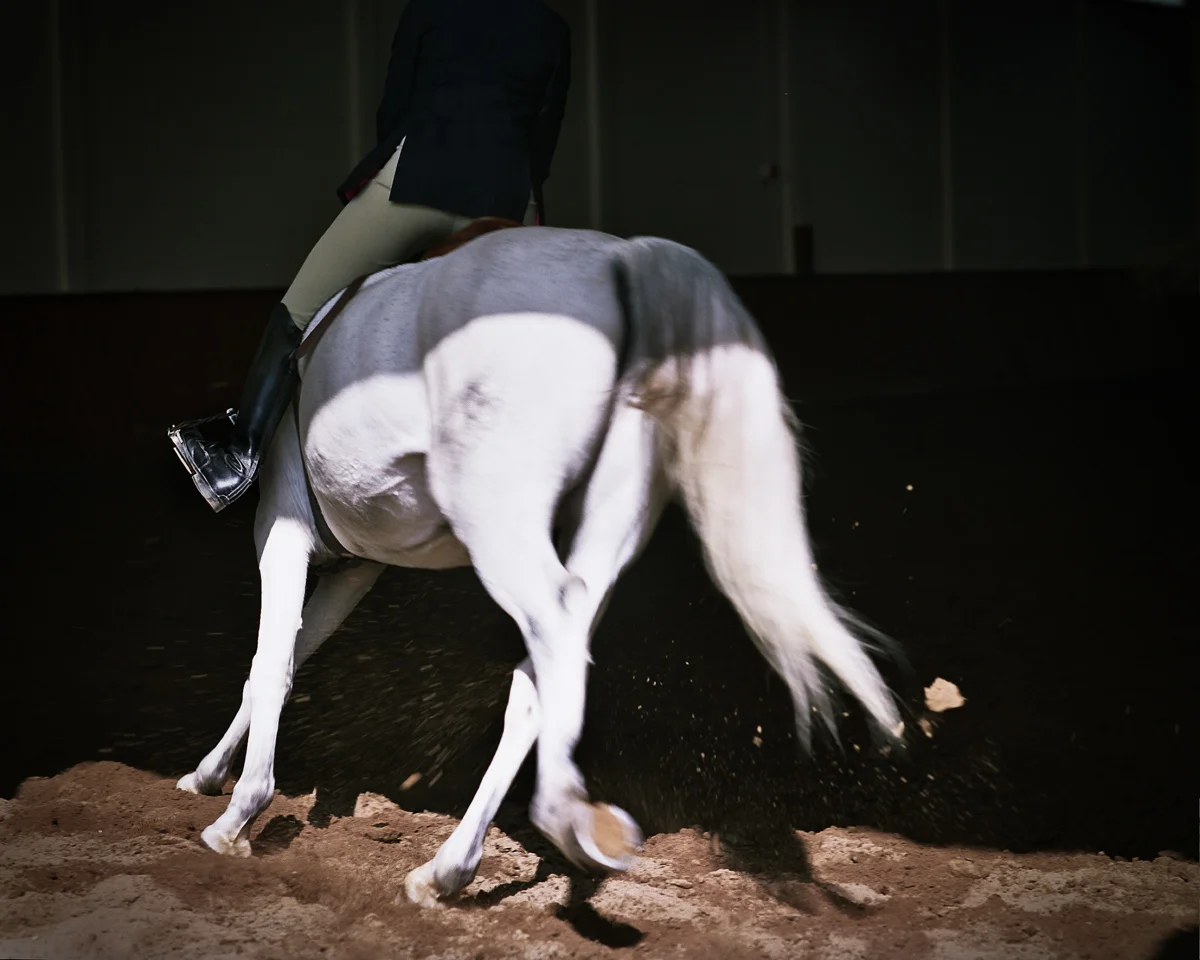 hulin-horse-1-of-1.jpg