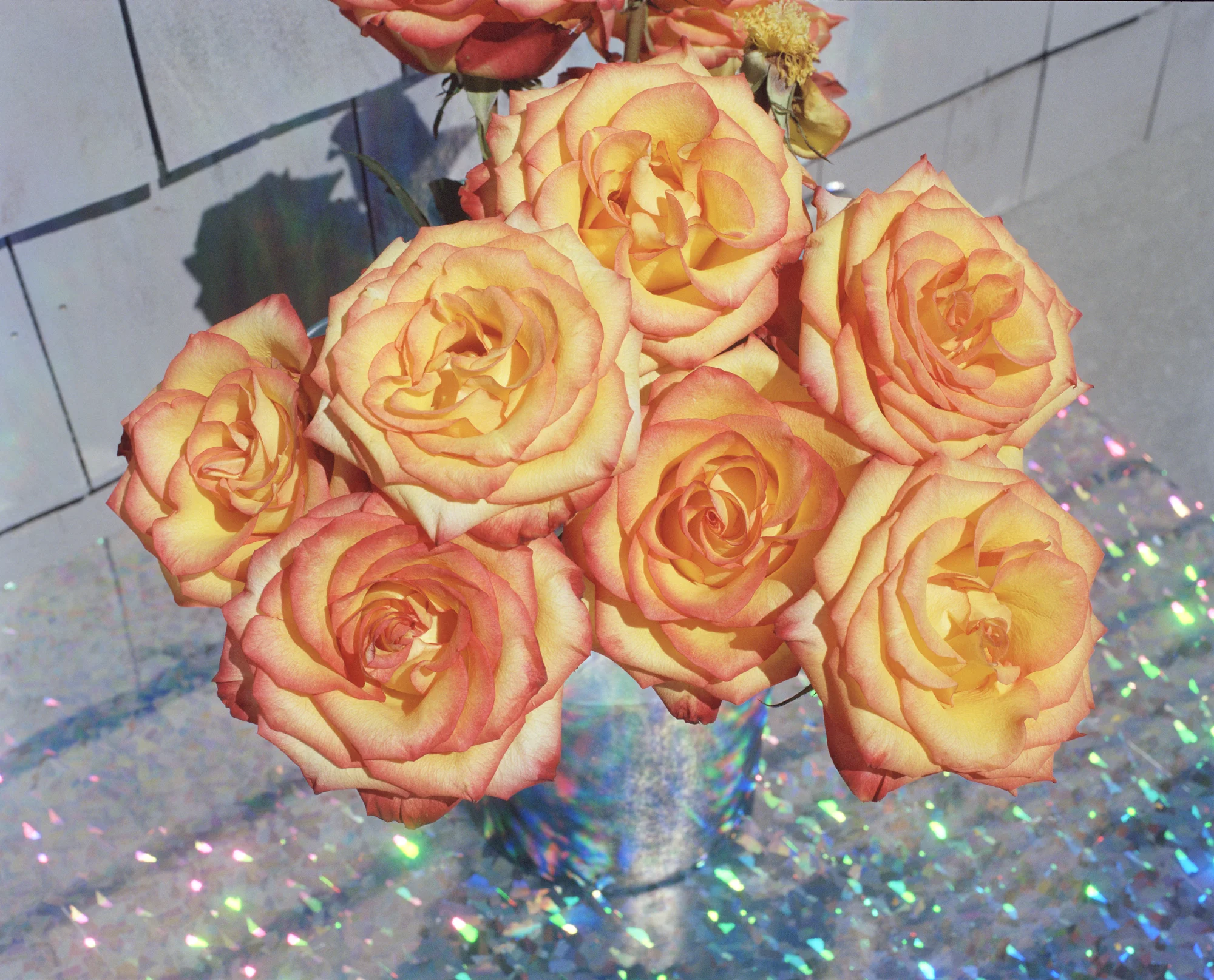 RH_#47_roses 001_spotted.jpg