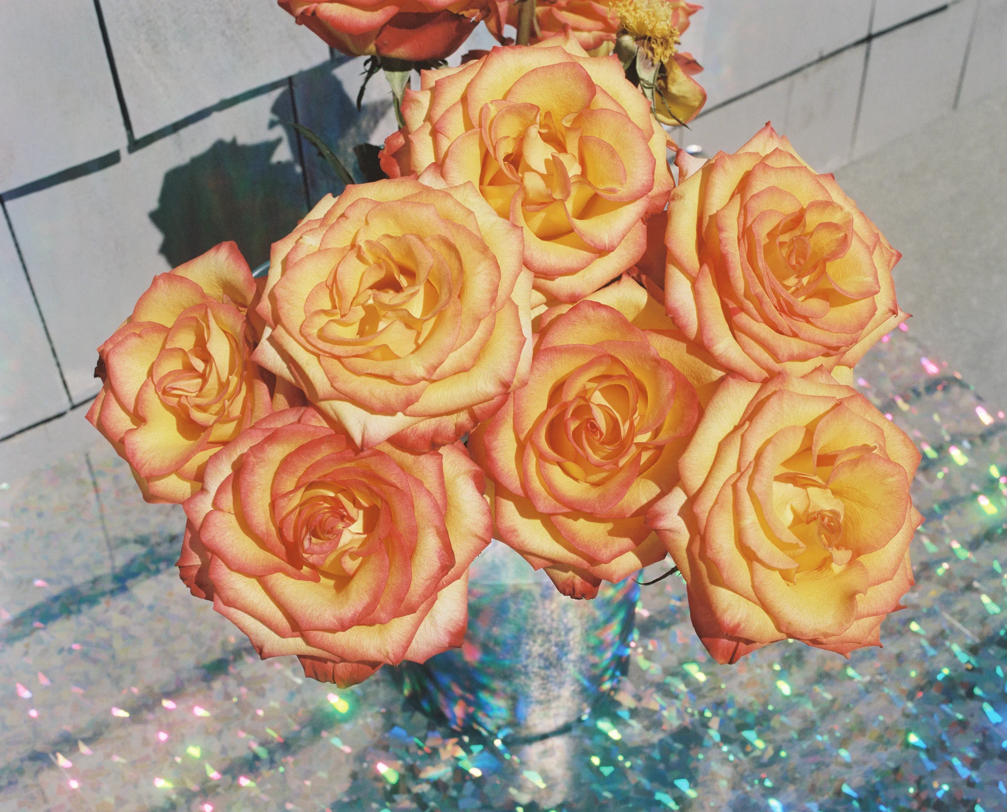 peachroses_small.jpg