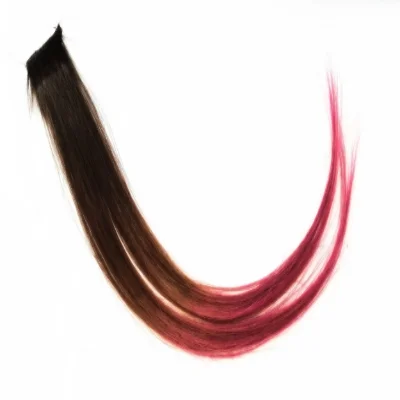 Chocolate Raspberry Clip.jpg