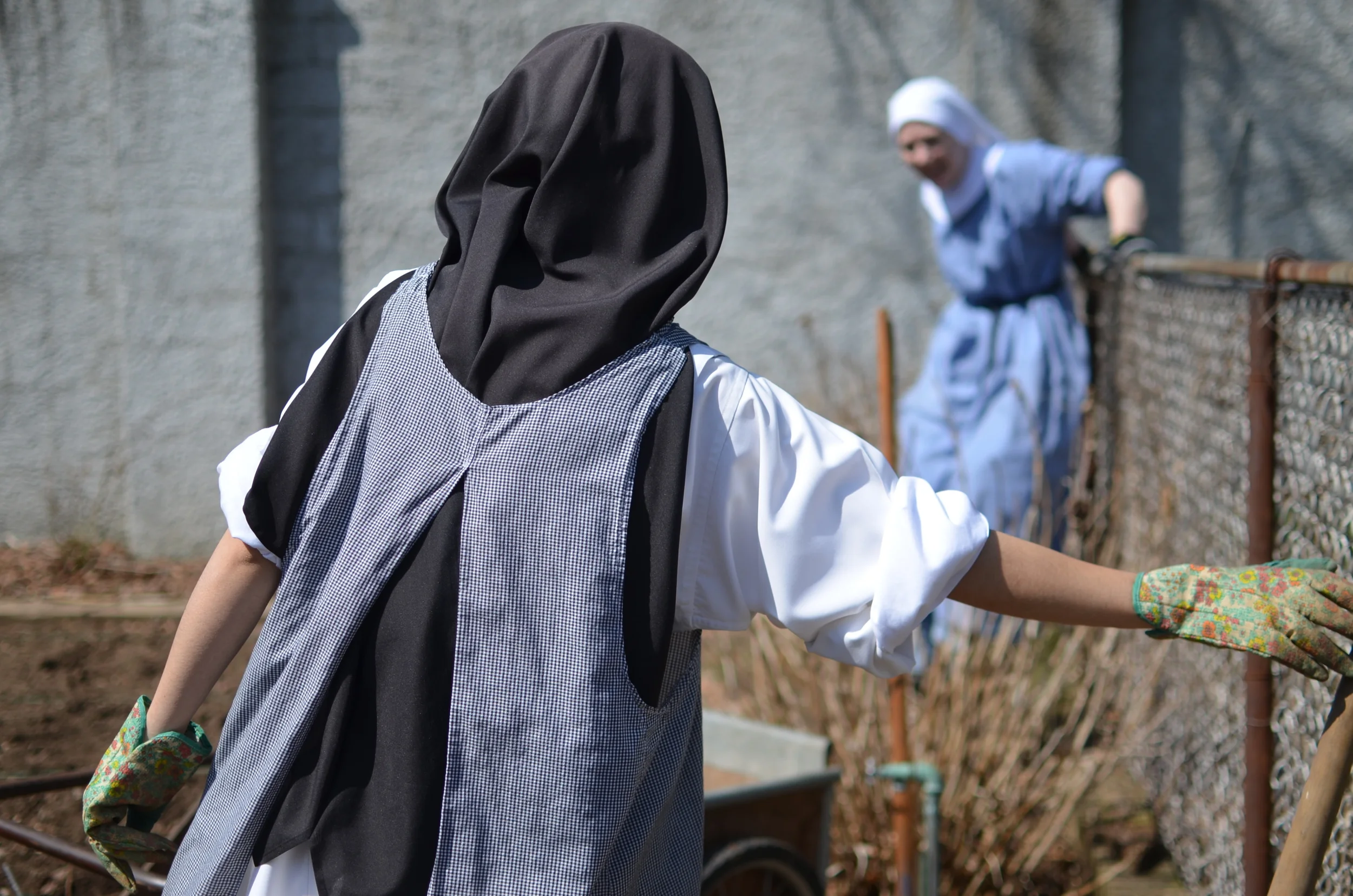 Meanwhile Sr. Joseph Maria and Sr. Mary Magdalene started digging up the hydrangea plants to move to the hermitage. An hour later, more help from Sr. Mary Catharine and 3 broken shovels and it was still firmly in the ground so....
