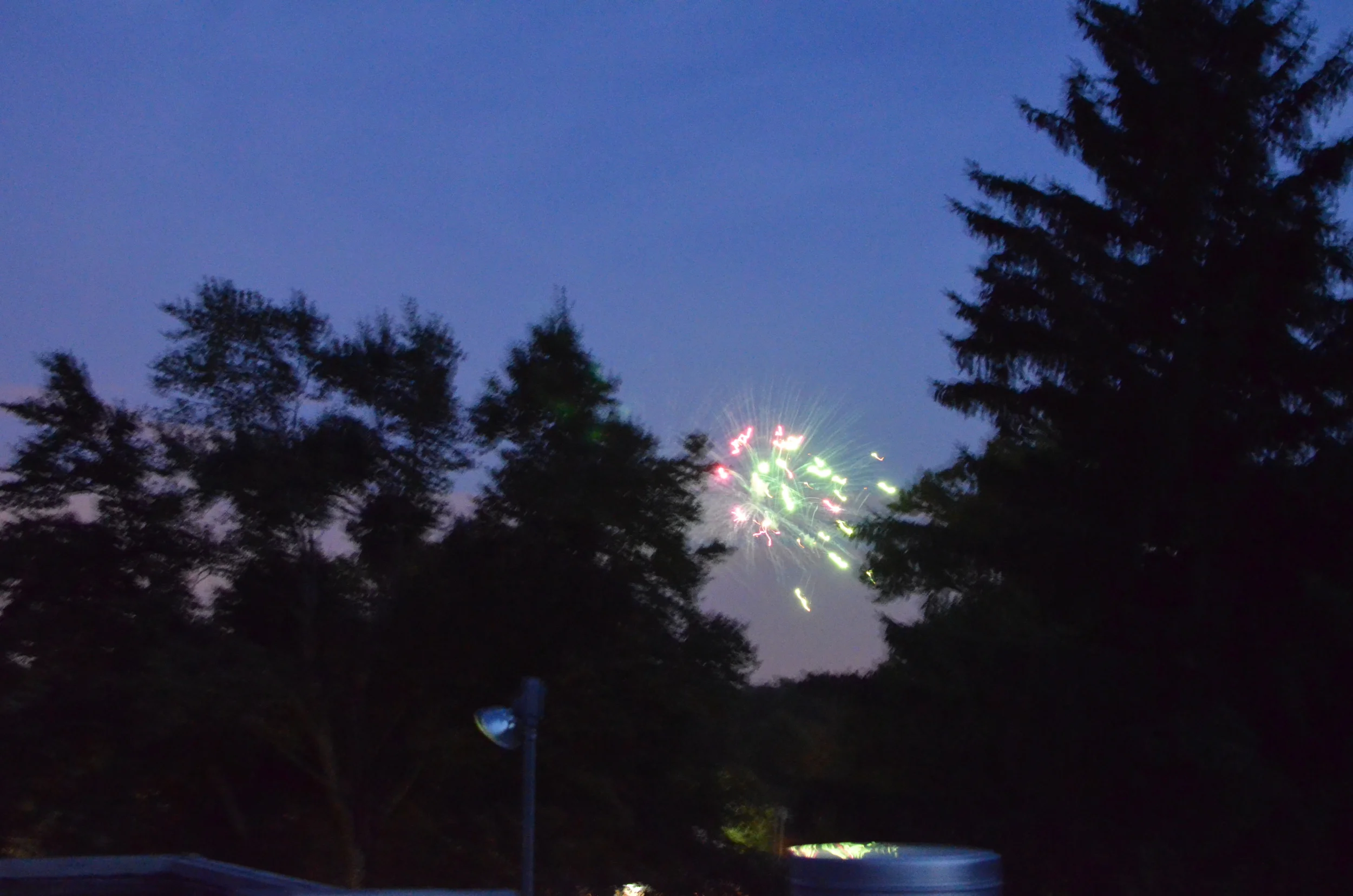 After Compline some of the sisters climb up onto the roof to watch Summit's firework display. We can just see the fireworks between two of our trees. Some years we've counted up to thirteen different firework displays we could see from the roof. This year only seven were spotted, but Summit's finale was the better than its been in many years.