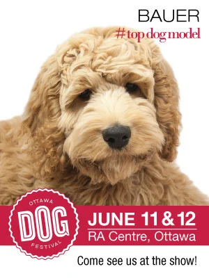 Come join me at the Ottawa Dog Festival - Ottawa Pet Photographer