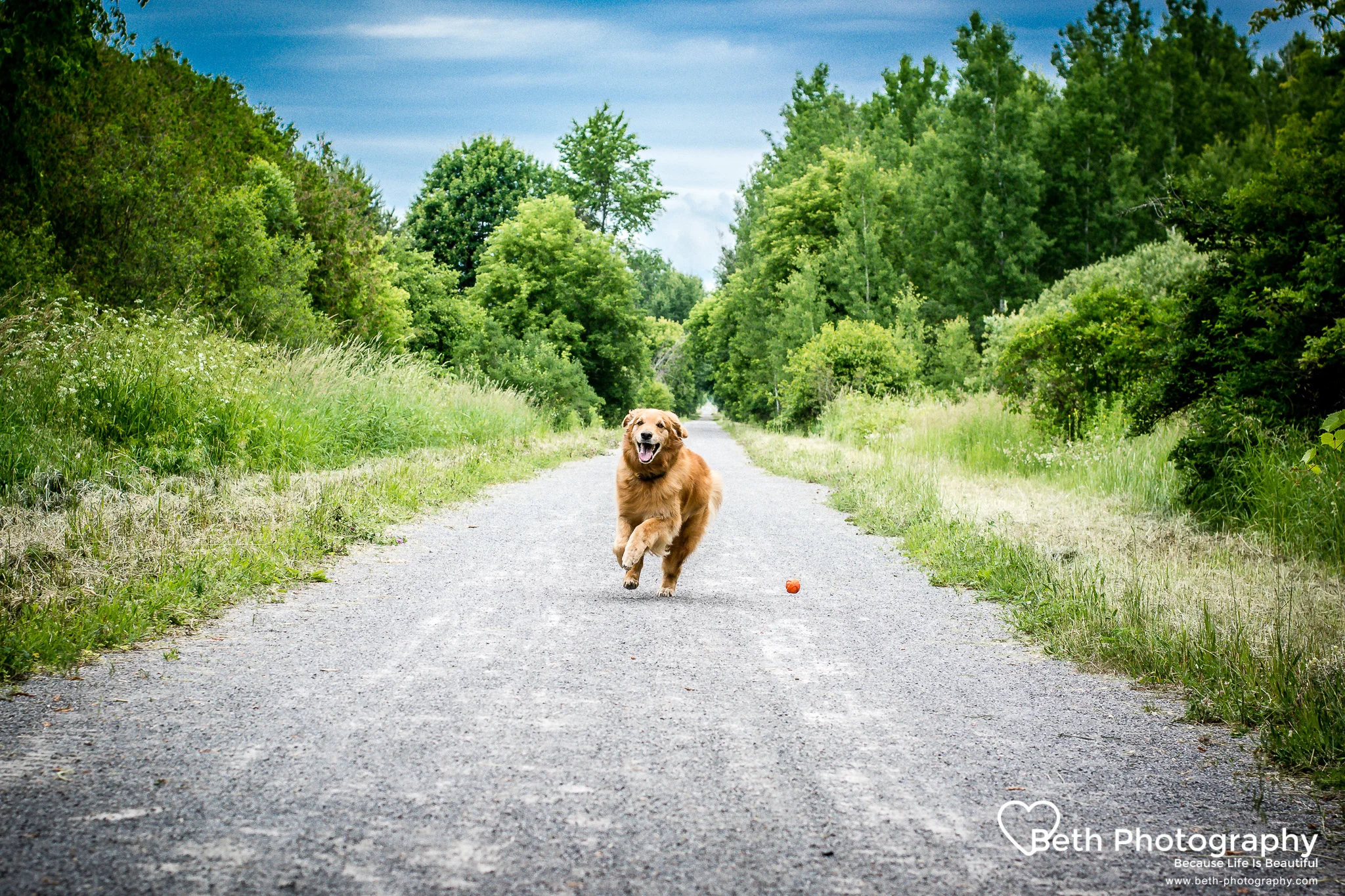 Beth Photography - Pet Photographer - Servicing the Ottawa, Cornwall area.