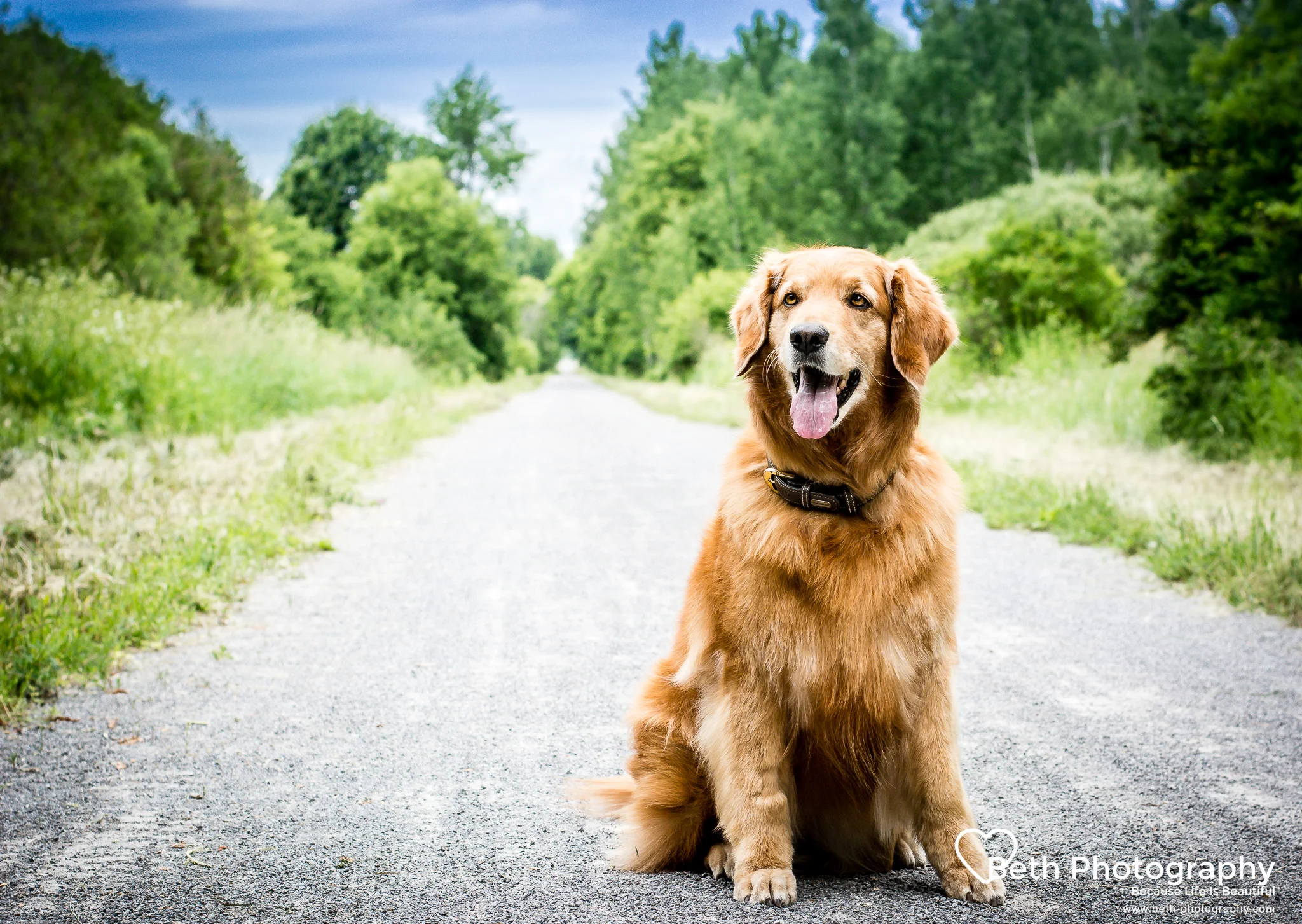Beth Photography - Pet Photographer - Servicing the Ottawa, Cornwall area.