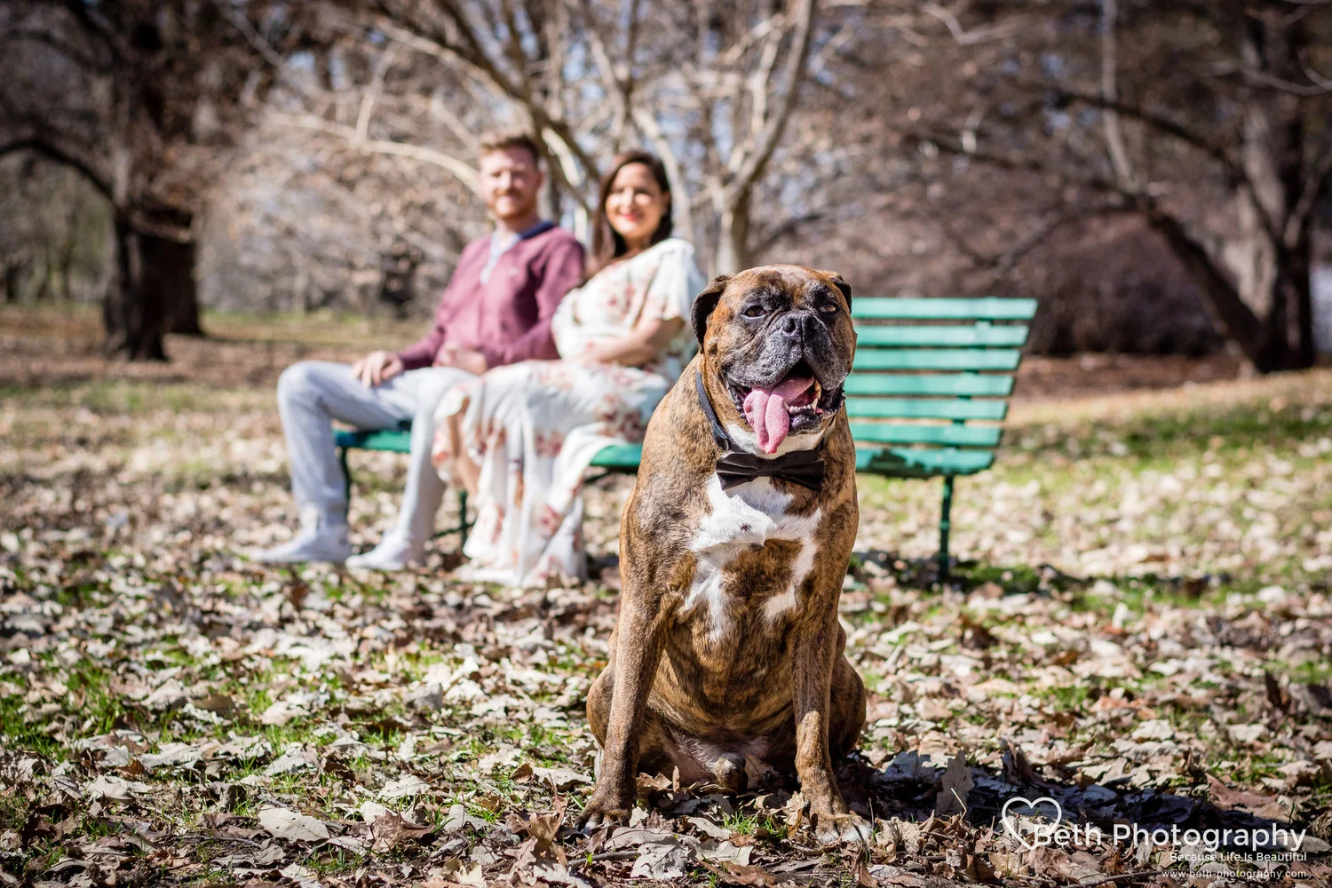 Beth+Photography+-+Pet+Photographer+-Servicing+Ottawa+to+Cornwall-27.jpg
