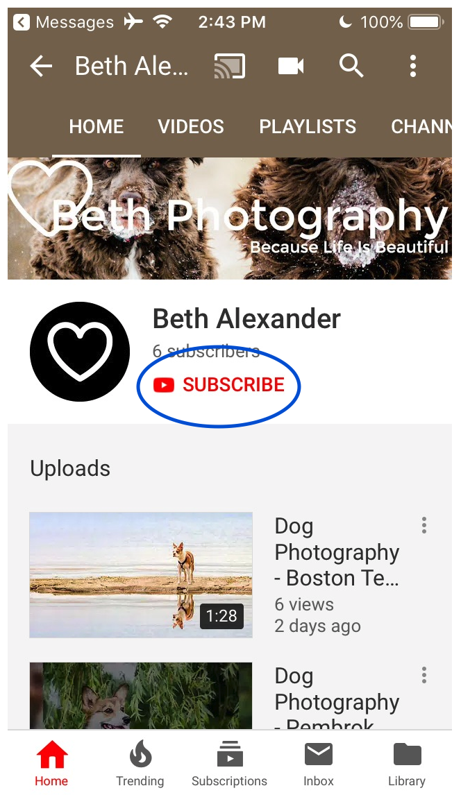 Screen Shot 2019-08-26 at 2.56.40 PM.png
