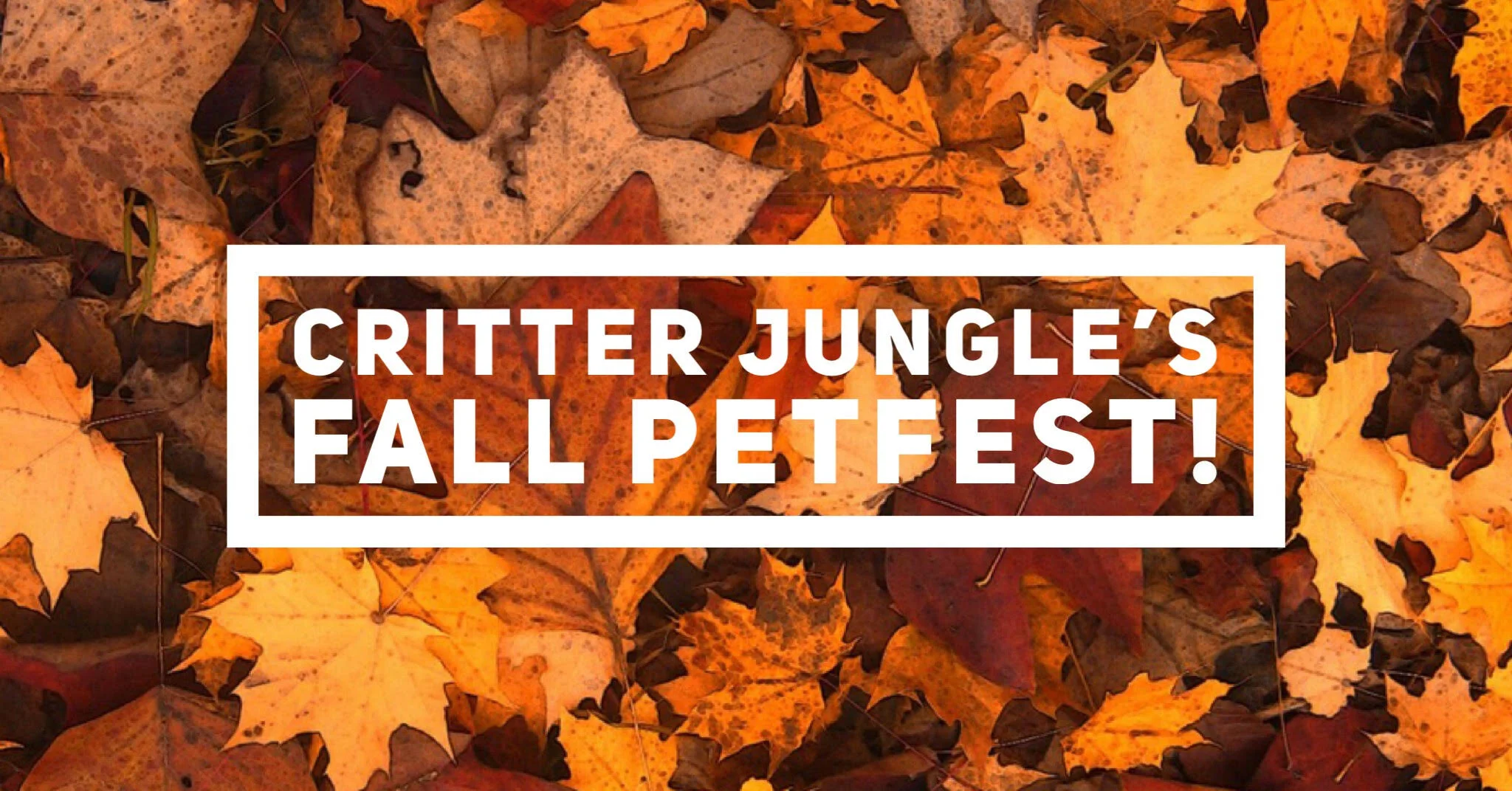 critter jungle fall pet fest.jpg