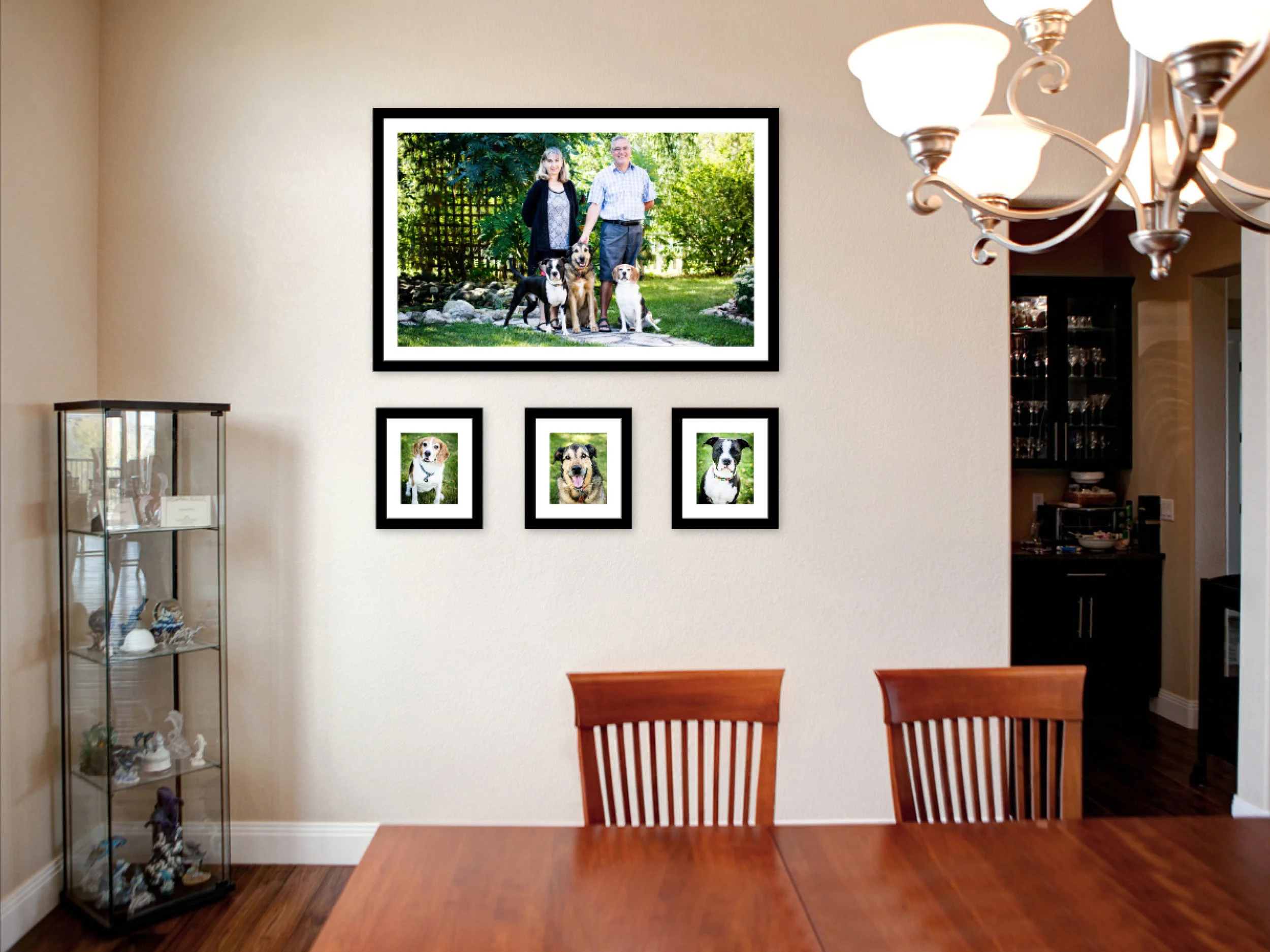 Dog Photography - The Ladouceur Pack