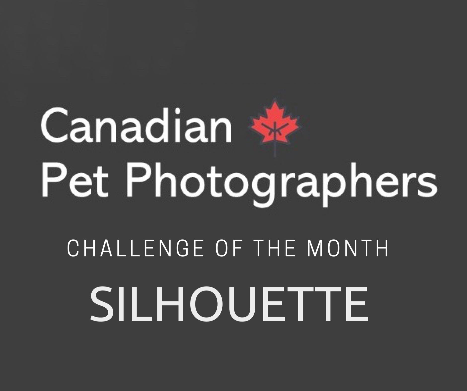 Canadian Pet Photographer’s challenge of the month- Silhouette 
