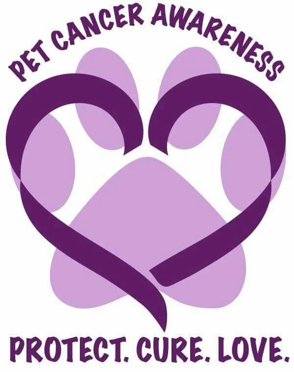 Could you recognize the signs of Cancer in your Pet?