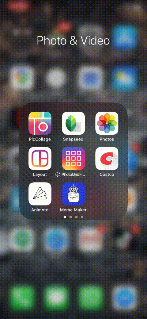 13 must-try tips for taking incredible pet photos