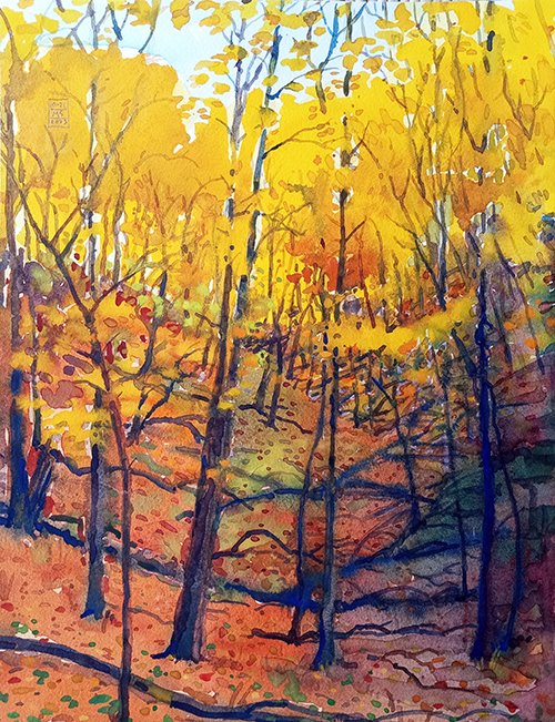 Ravine along the Cannon River - #458