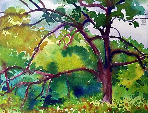 Oak Forest - #406