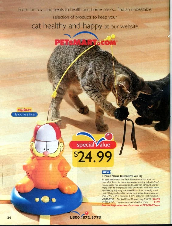 Cats-1.jpg