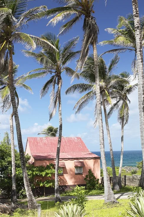 Barbados#242.jpg