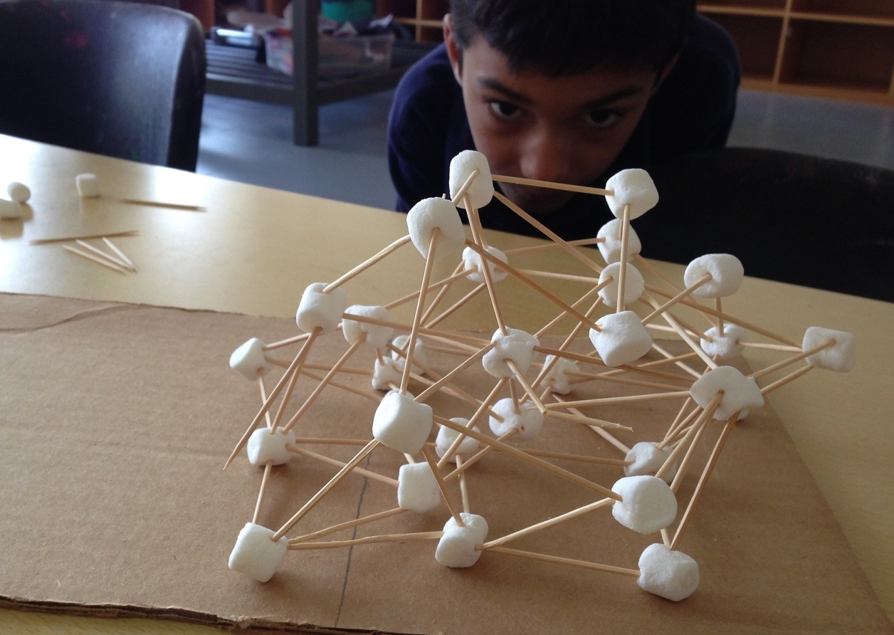 Leonardo da Vinci Study