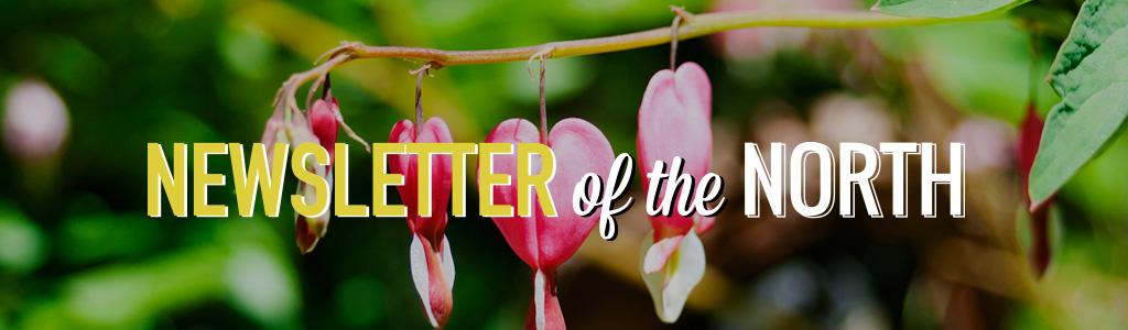 newsletterpic.jpg