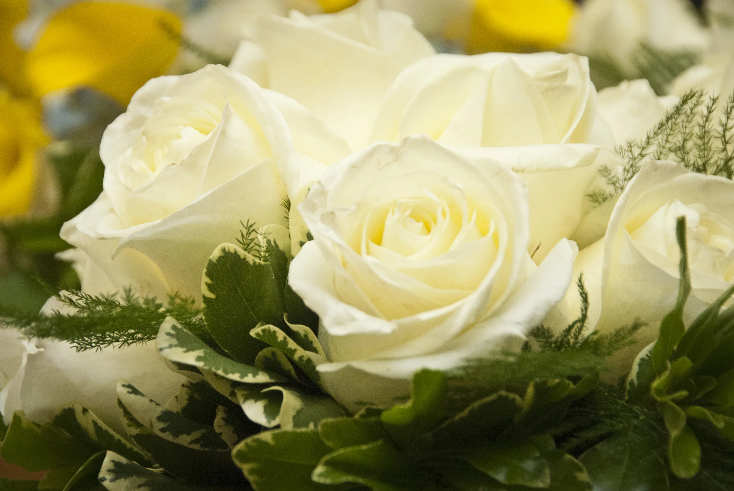 082413_MormanWedding_16.jpg