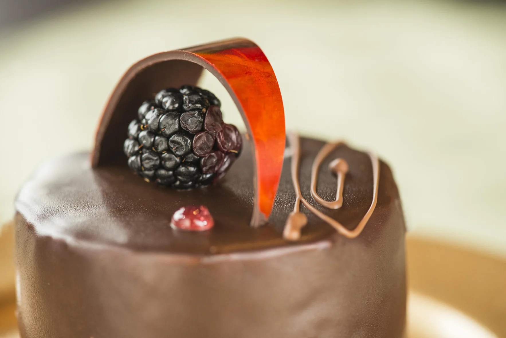 CocoaBean-311_V2.jpg