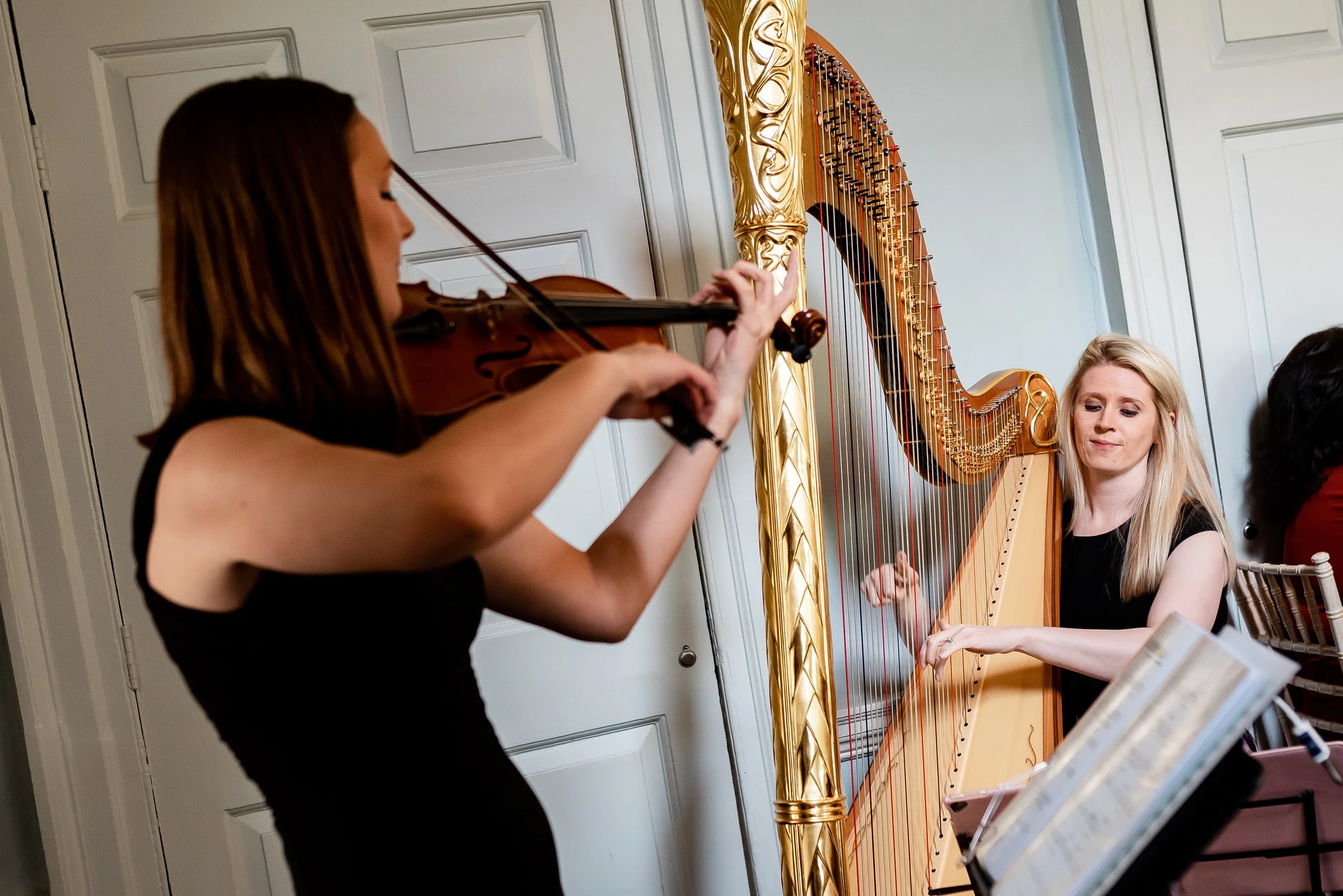 Aelfwyn Violnist71.jpg