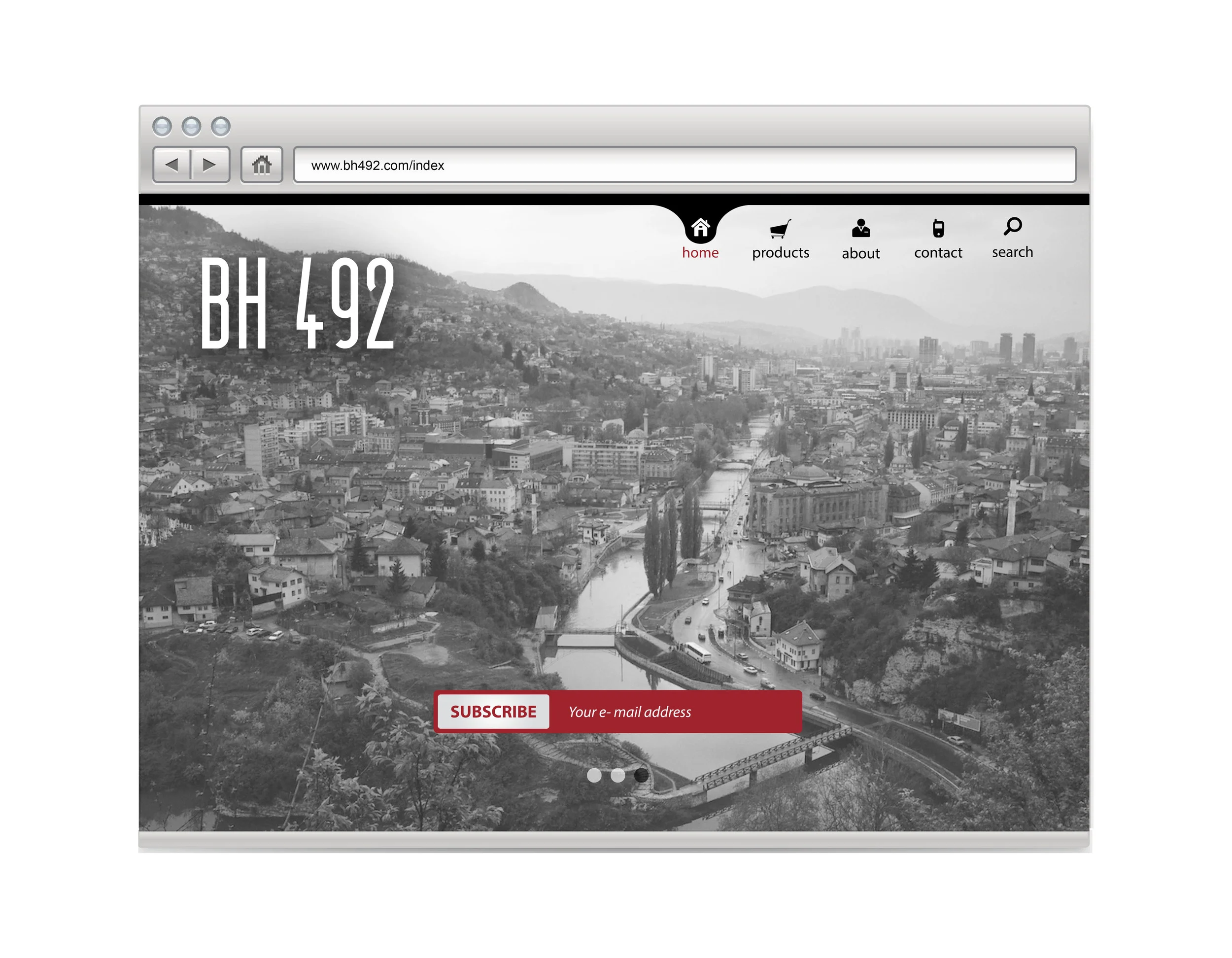 BH492Website.jpg
