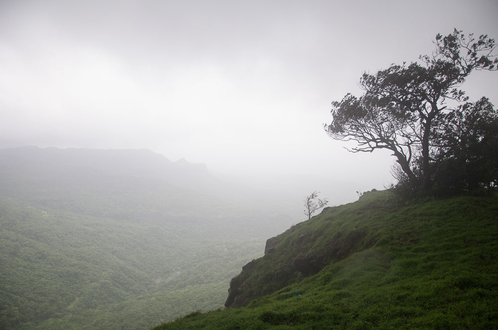 Vista of the valley below.