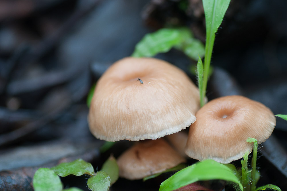 0029_low_res_unprocessed.jpg