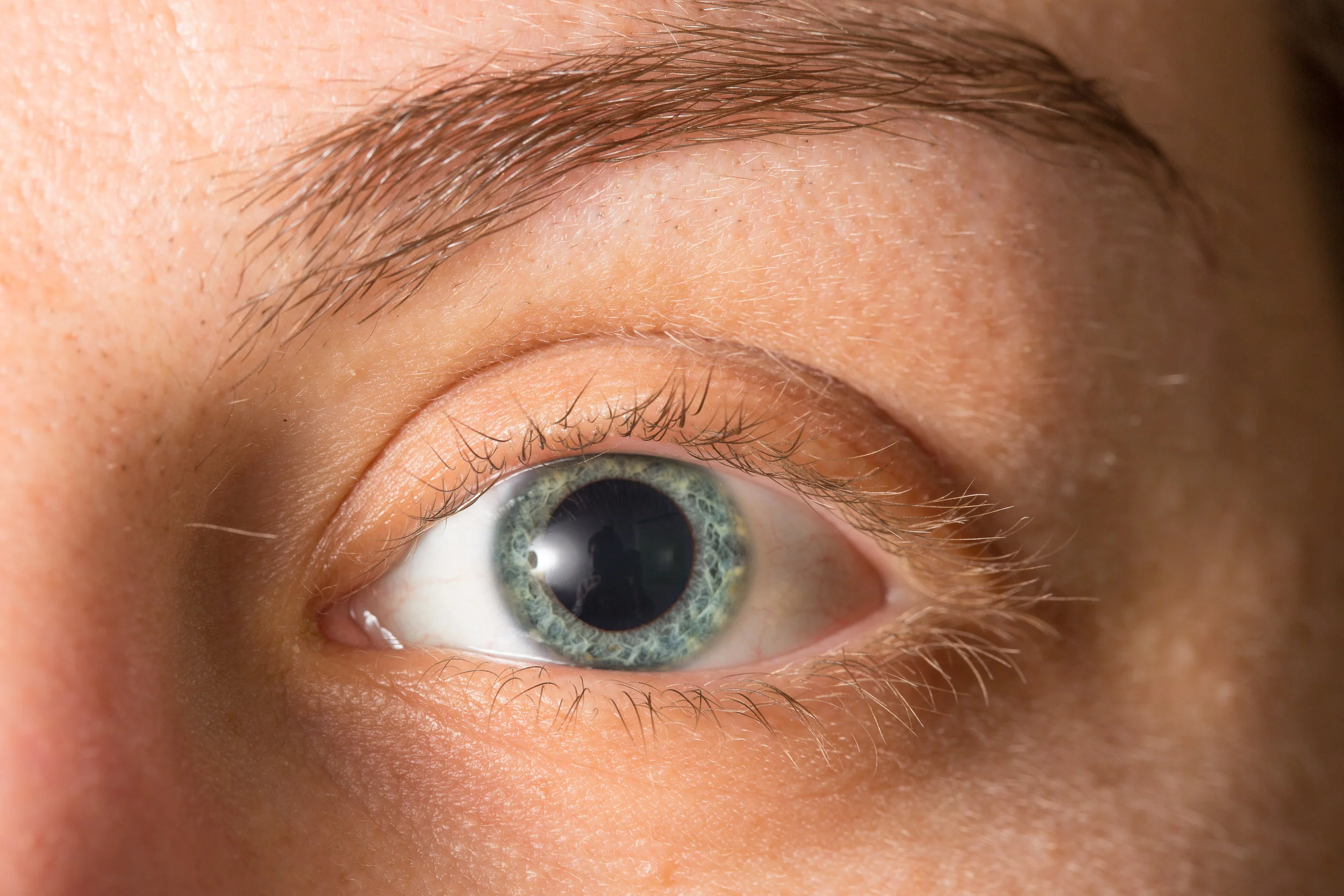 shutterstock_585625493.jpg