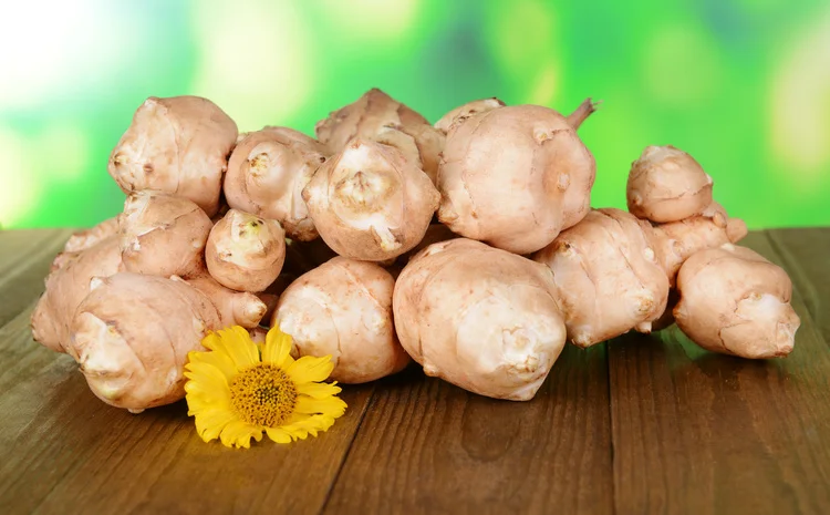 jerusalem artichoke.jpeg