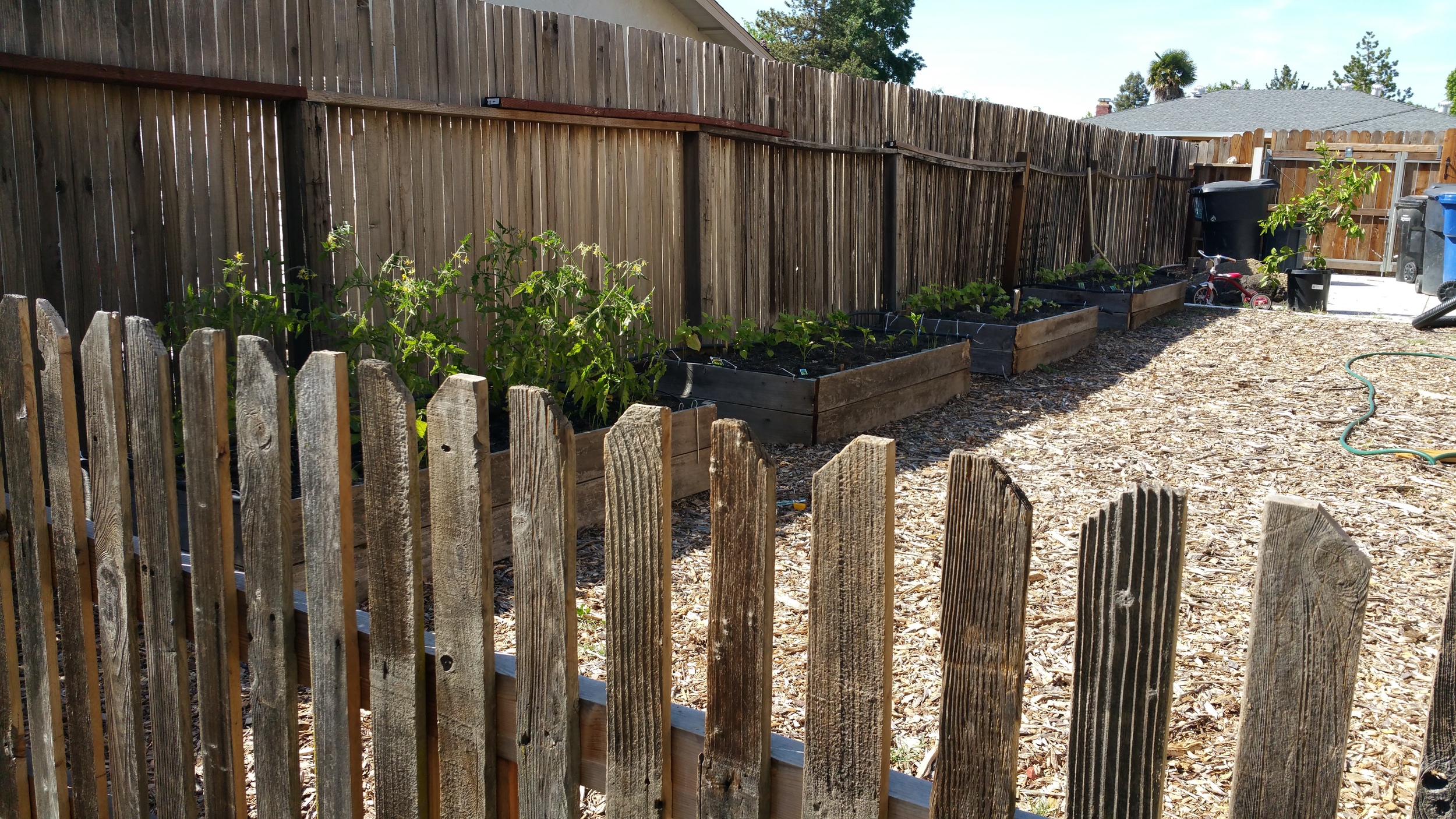 Raised Garden Beds & Picket Fence