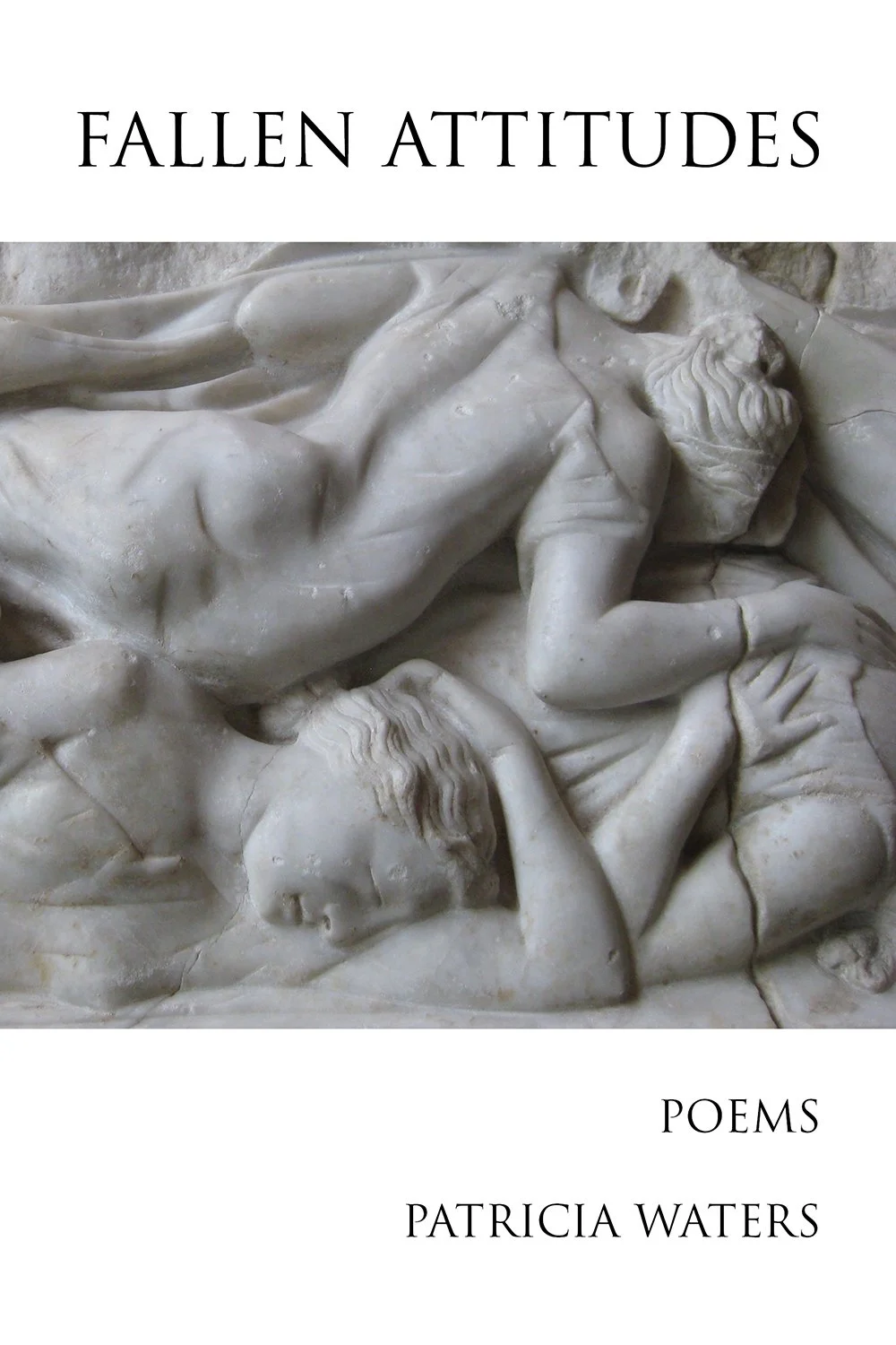 Fallen Attitudes by Patricia Waters