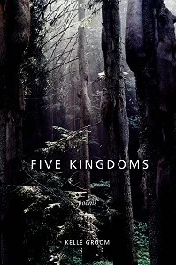 Five Kingdoms by Kelle Groom