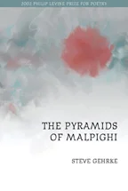 The Pyramids of Malpighi by Steven Gehrke