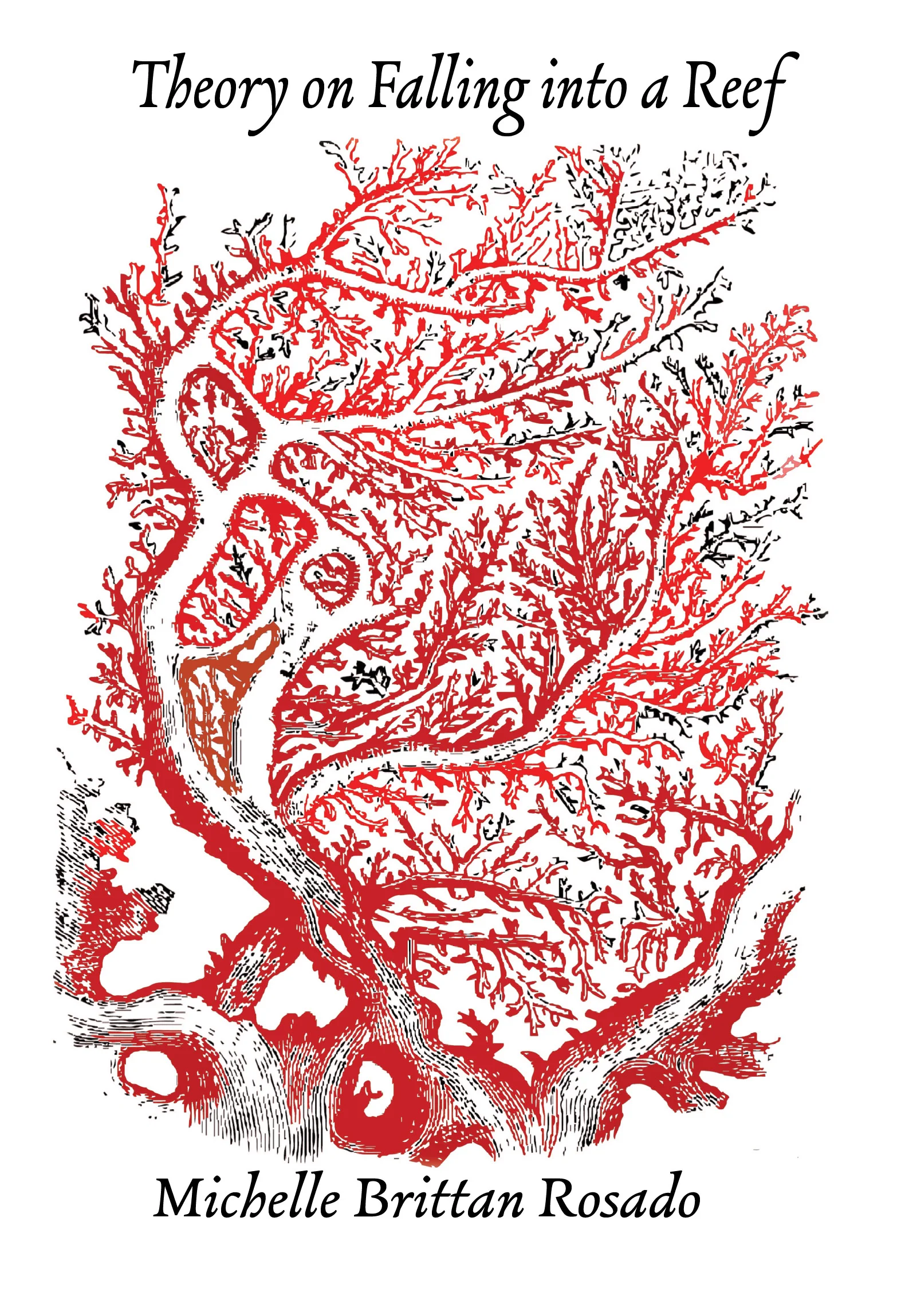 Theory on Falling in to a Reef Cover red.jpg