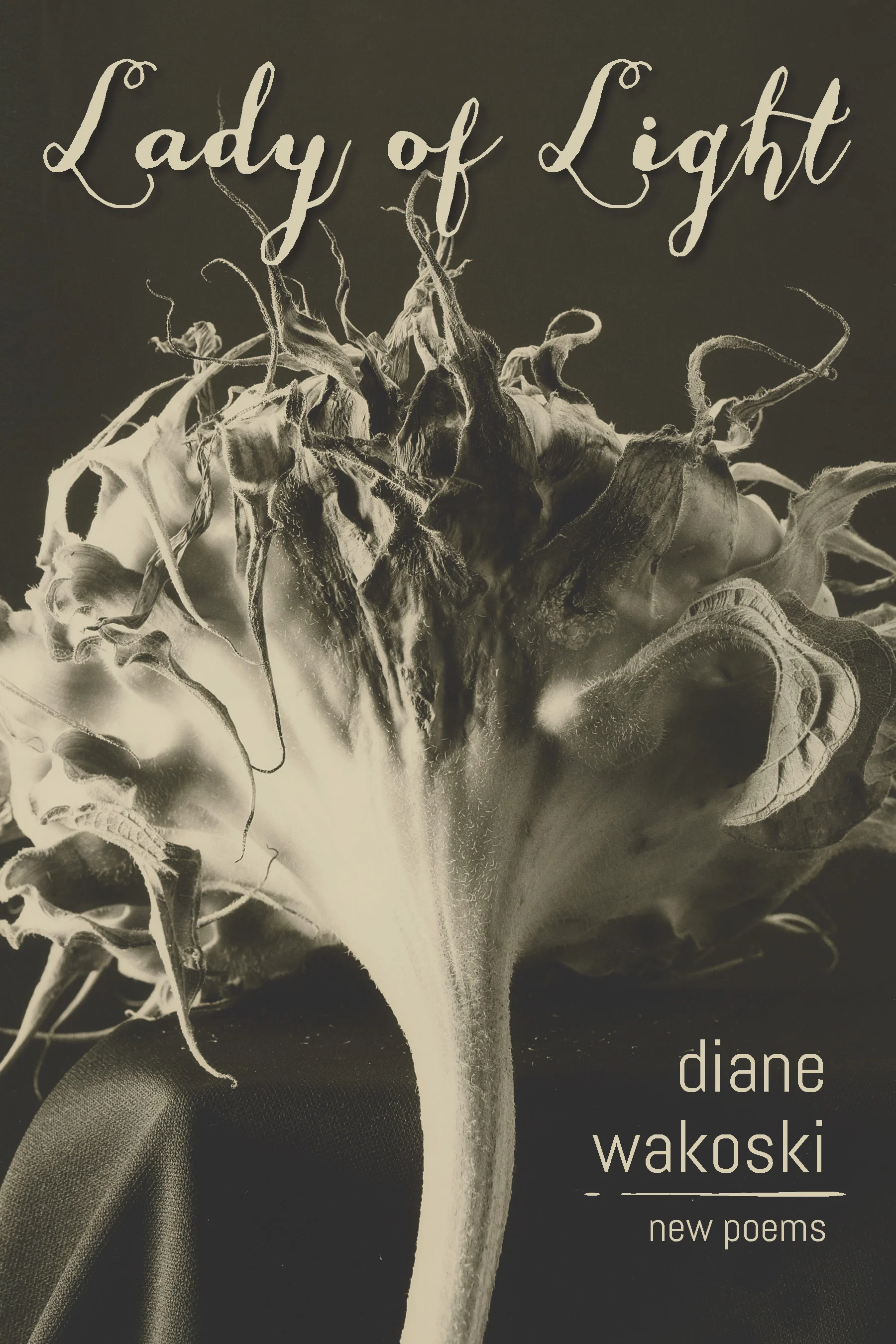 Lady of Light by Diane Wakoski