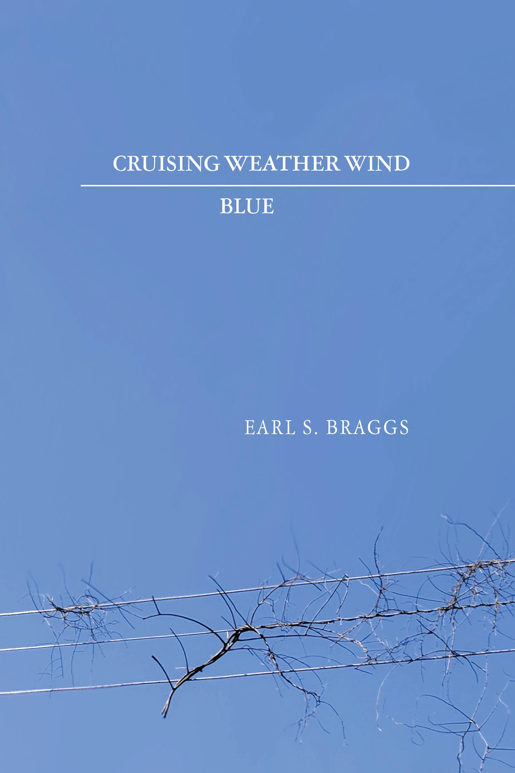 Cruising Weather Wind Blue by Earl S. Braggs