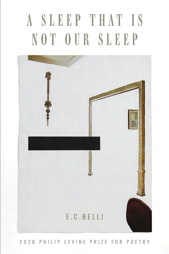 A Sleep That IS Not Our Sleep by  E.C. Belli