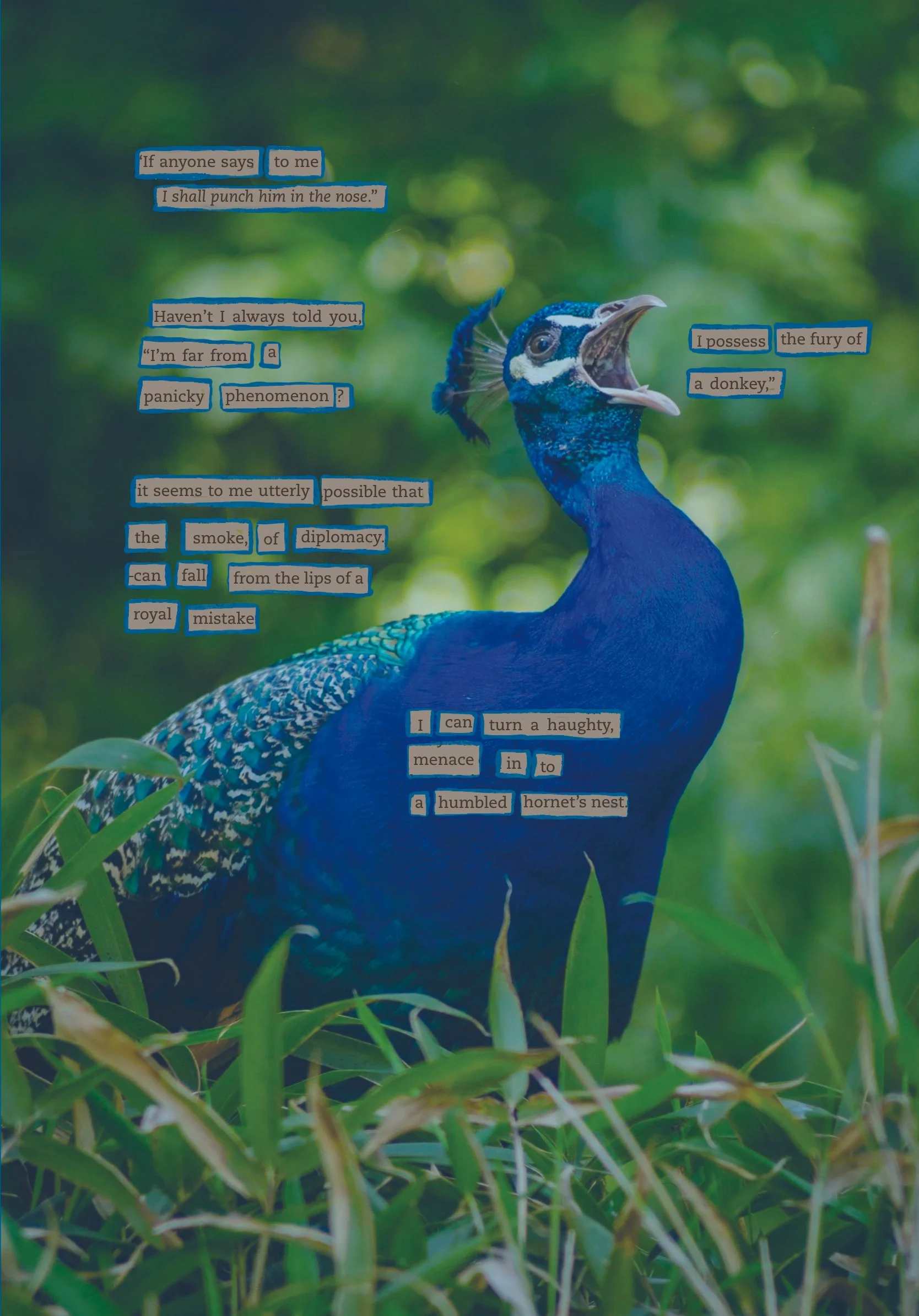 When I Was a Barefoot Cloud by Avni Vyas