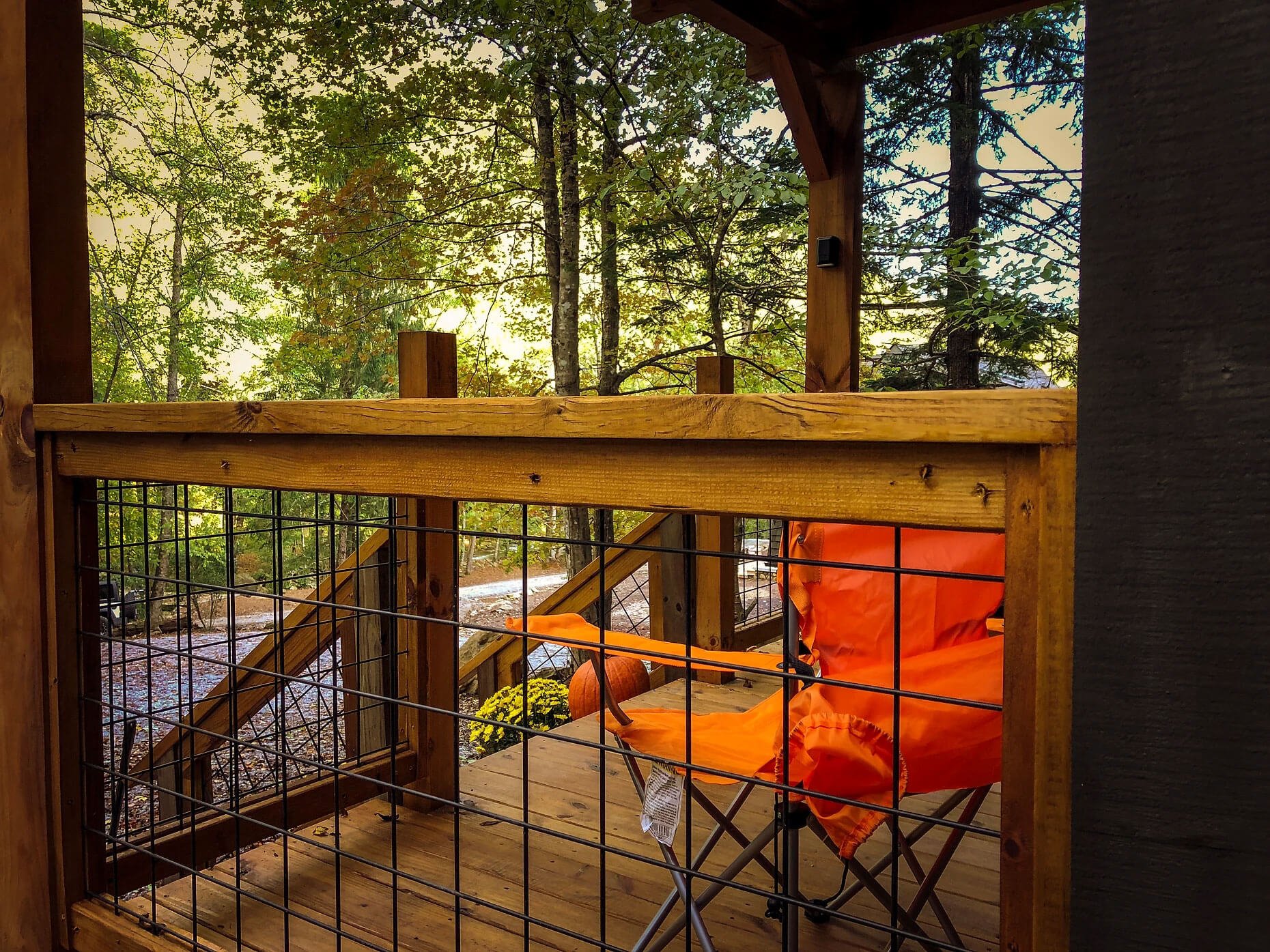 Bird’s Nest Cabins - Yoga Retreat North Carolina (Copy)