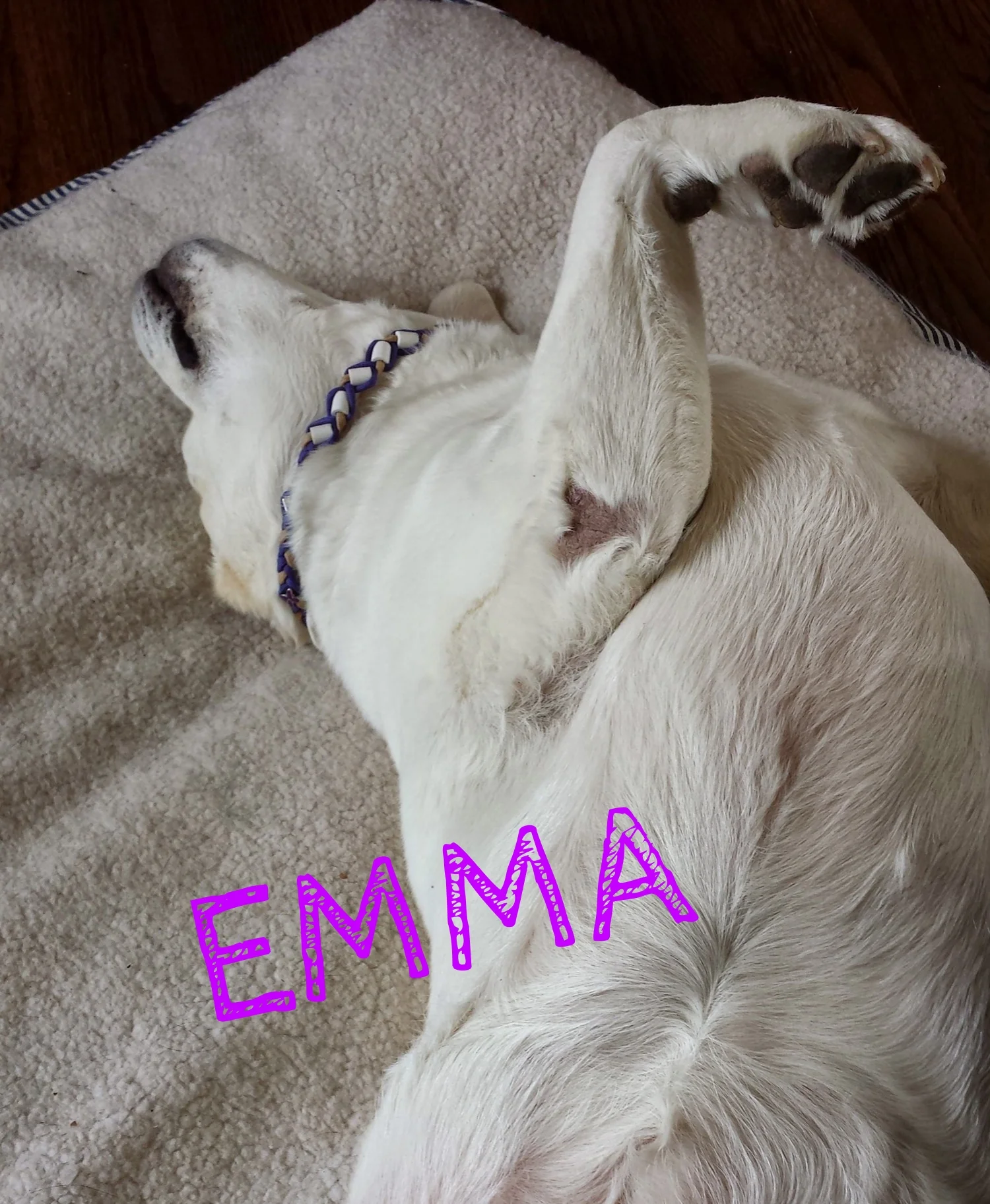 20150327_135731.jpg