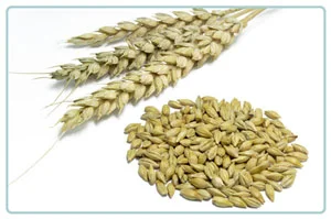 Yoghurt-Spelt cookies