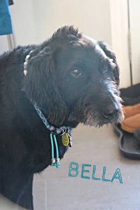 Bella.jpg