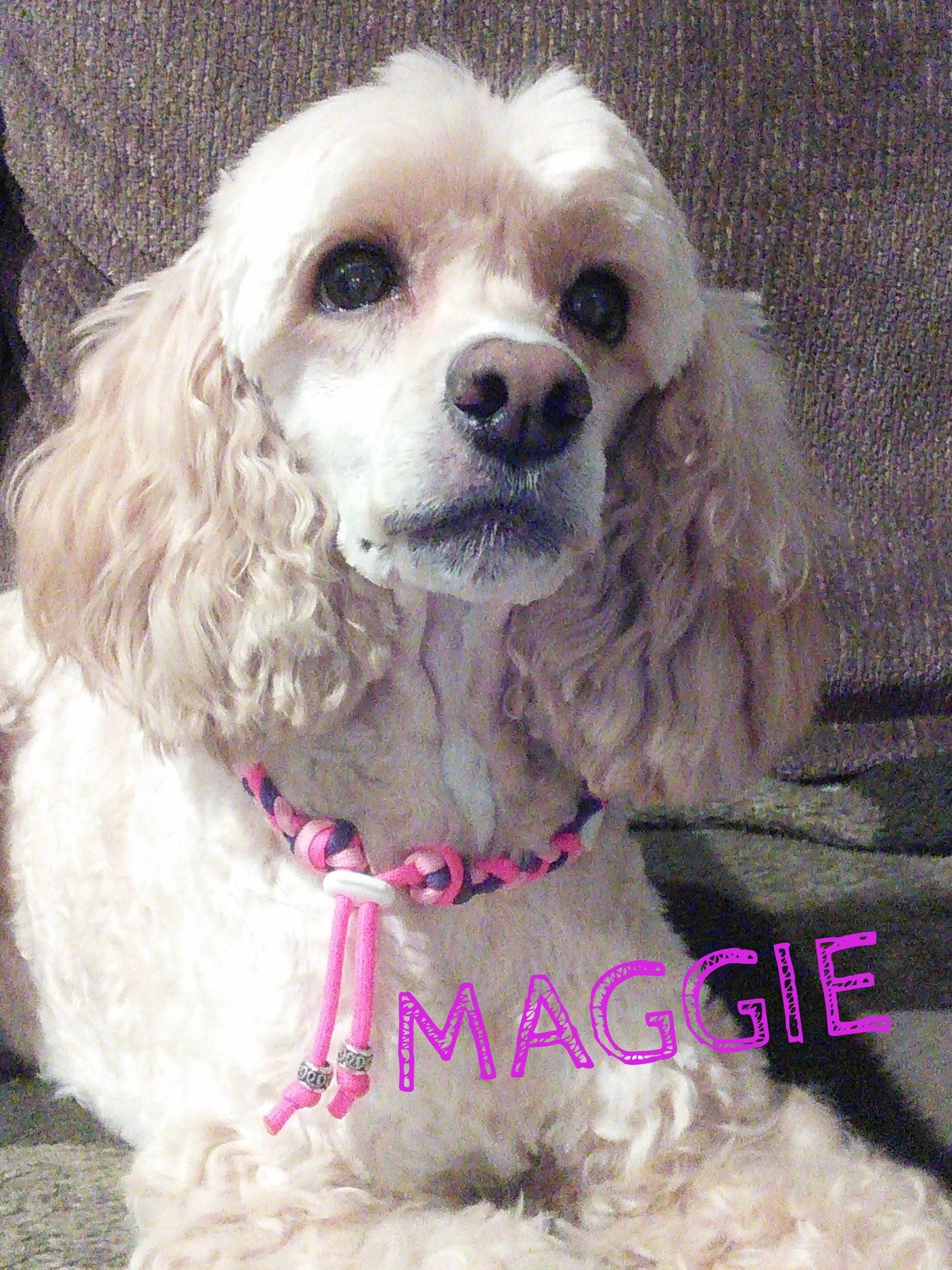 Maggie 2.jpg