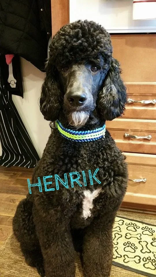 Henrik3.jpg