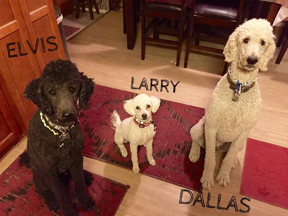 Dallas, Elvis, Larry.jpg