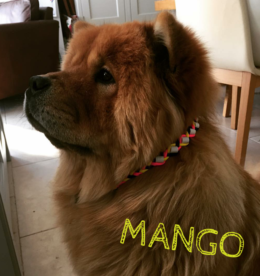 Mango.png
